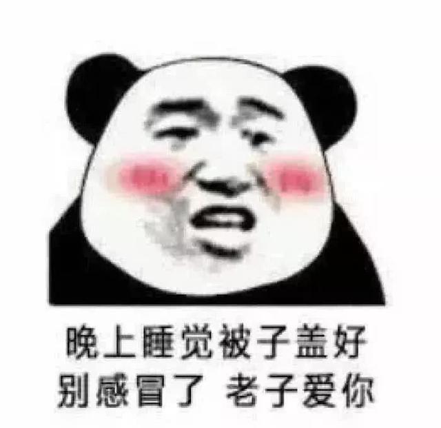 搞笑图片:别再说土到俗的“晚安”了|表情包|小猫|小奶猫_新浪新闻