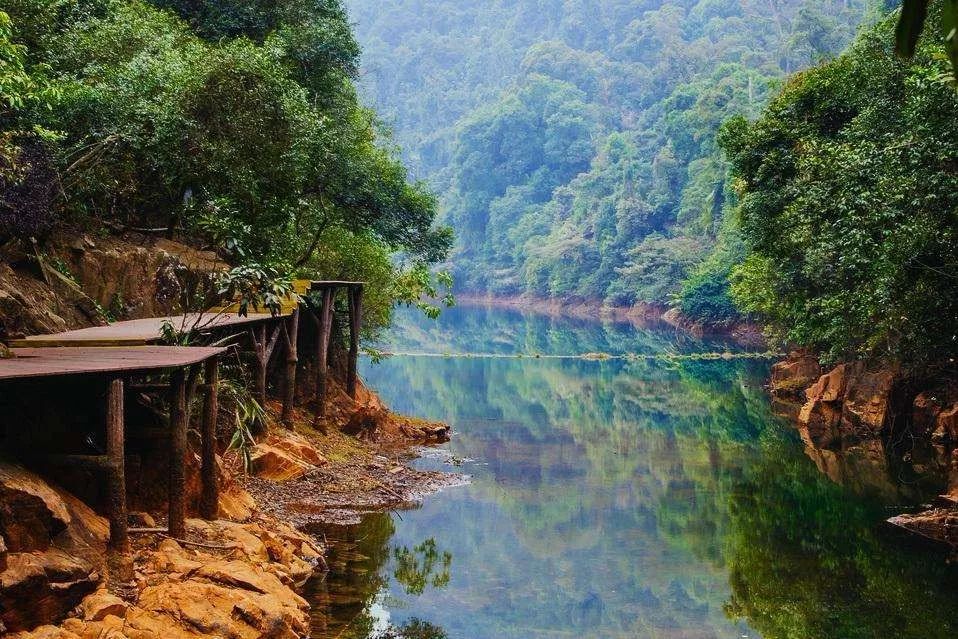 解锁肇庆新玩法!深圳出发3h,鼎湖山\/七星岩\/