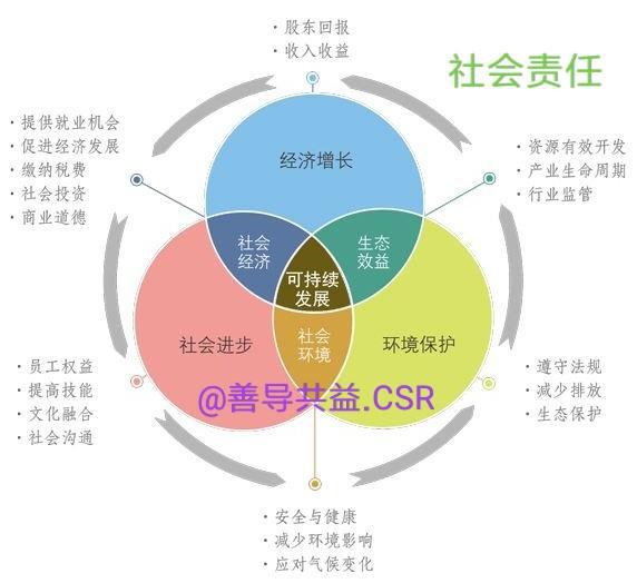 善导共益csr助力公益慈善事业赋能企业社会责任