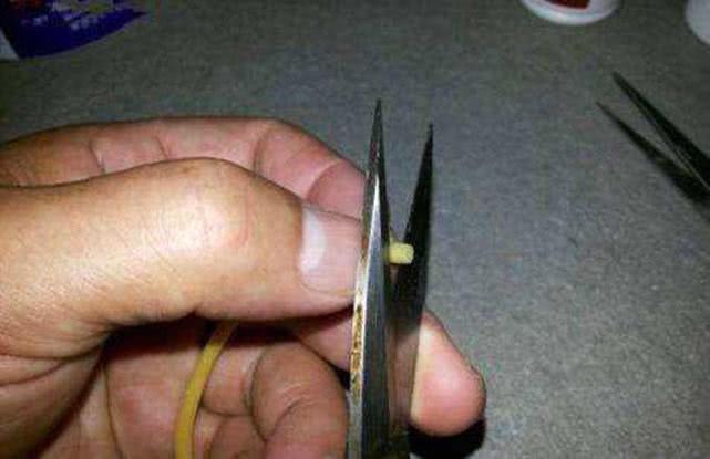 对付养殖塘的一种特殊方法:皮筋颗粒钓法