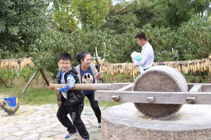 有人说这是地转偏向力的原因,说北半球的漩涡是逆时针转动,所以人推磨