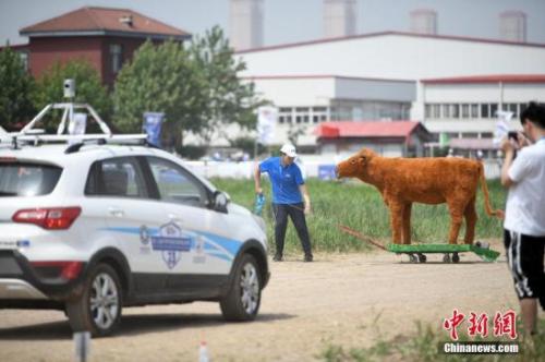 资料图：无人驾驶汽车。中新社记者 佟郁 摄
