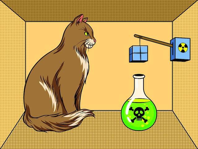物理学家拯救了薛定谔的猫新研究推进量子计算机技术