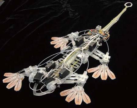 戴振东介绍,仿生壁虎机器人将来的推广规模很是广泛.