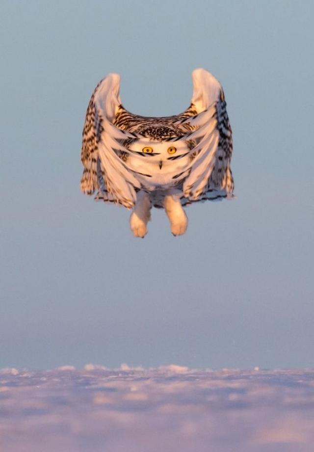25张不可思议的巧合照片,忍不住多看几眼