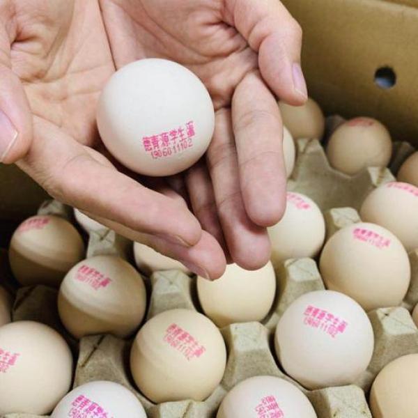 保障校园食品安全 德青源学生蛋助力高考学子金榜题名