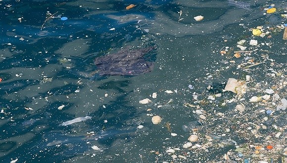 目前进入海洋的全部污染物中有80%以上来自陆地污染源,包括日常垃圾