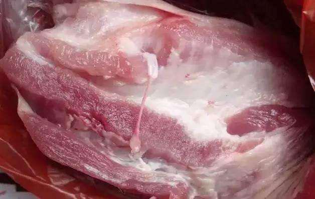 网传猪肉有"钩虫"?养生专家告诉你,长期吃猪肉对身体是好是坏