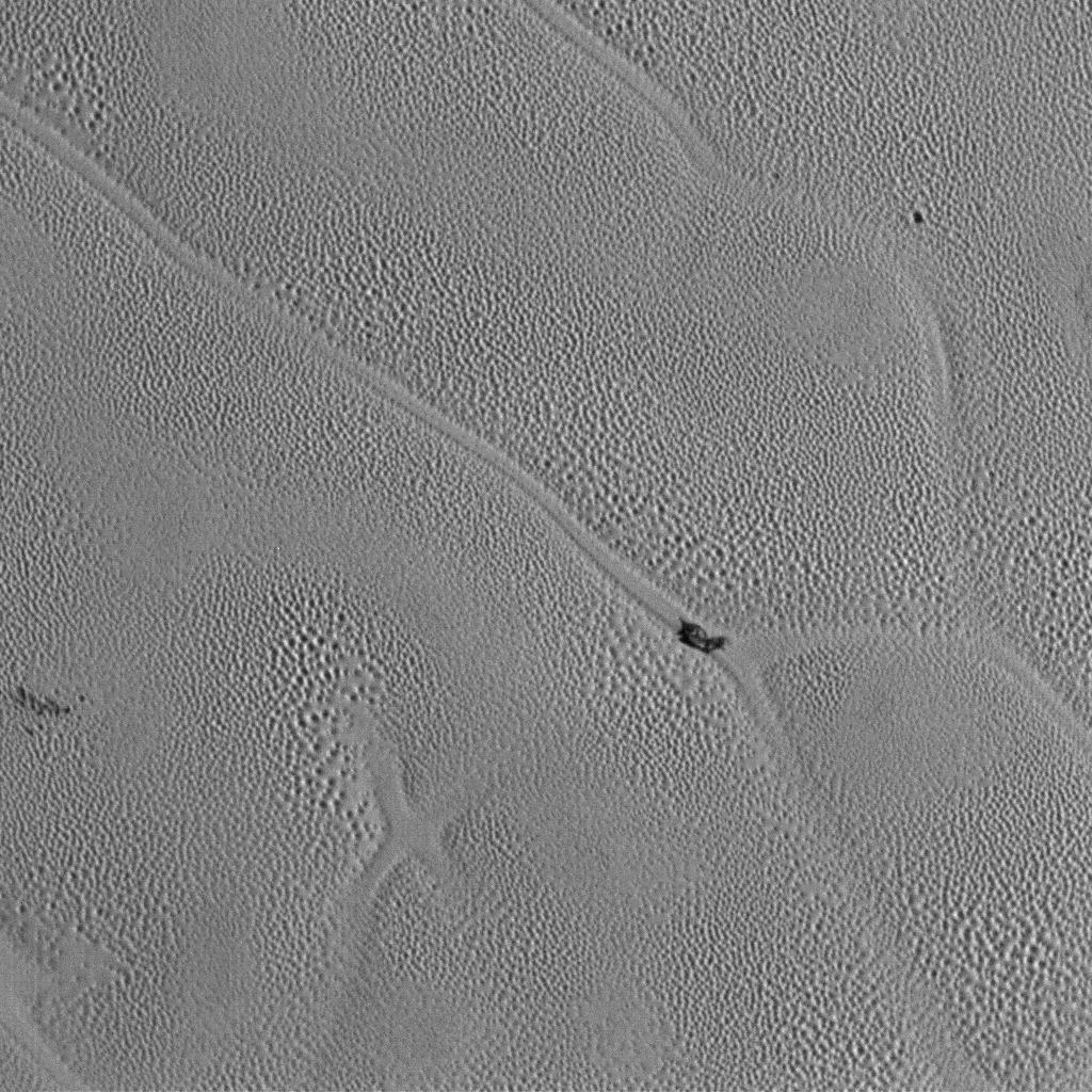 nasa在冥王星上拍到一只"蜗牛",科学家争议不断,它是生命吗