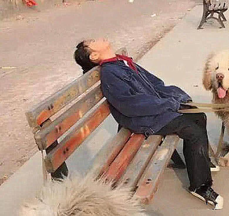 女孩在公园睡觉,旁边站着三个"护法",路人看清后吓得就报警