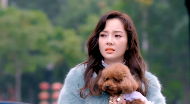 如果真的没剧可追了可以看看守护丽人富家大小姐变形计