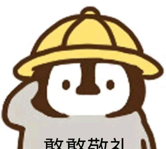 斗鱼唯一日本女主播武田老师宣布退鱼