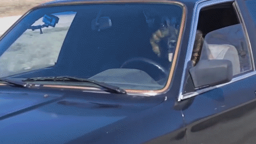 狗狗驾车飞奔在马路上,路人纷纷围观拍照,得知真相后感觉上当了