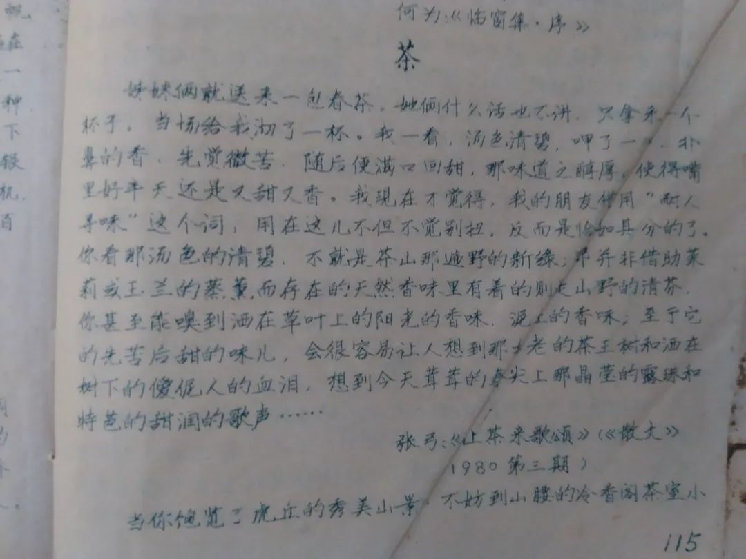 叶志强 创办茶文化博物馆 藏宝8000件 金商 博物馆 叶志强 茶文化 新浪新闻