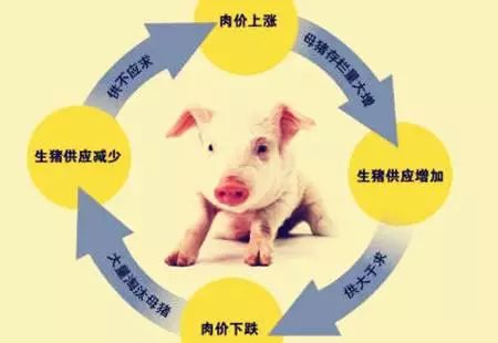 A股