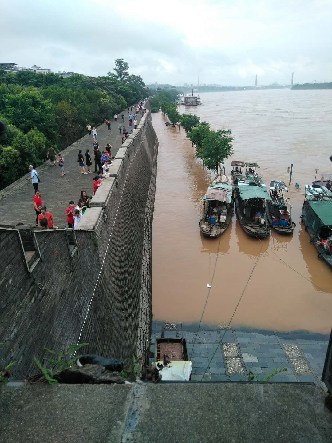 赣州中心城区多处被淹各地水情告急动员一切力量做好