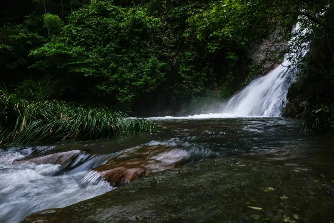 探寻东江源·走进寻乌|一江清水润粤港|寻乌|东江源|东江_新浪新闻