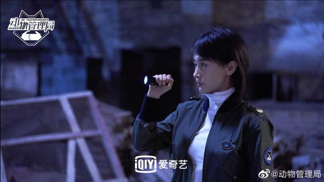 当红女明星是放屁精,老师是泰迪精,陈赫王子文这部剧太敢拍了