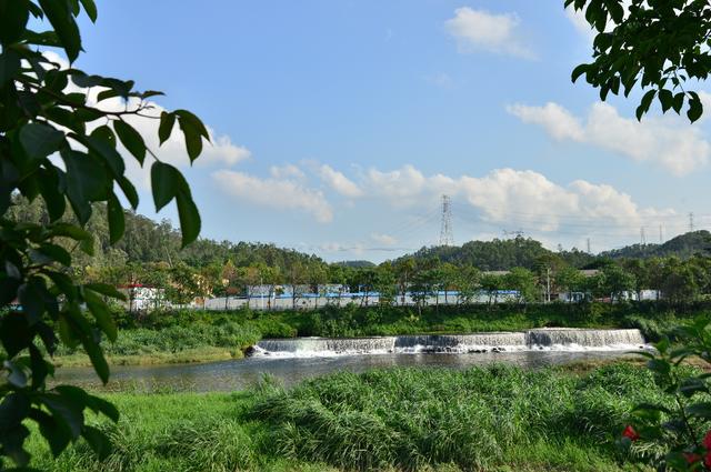 张勇一行首先来到位于坪地街道的丁山河河口龙岗河干流综合治理二期