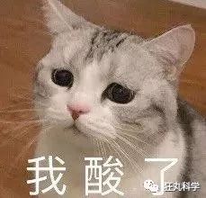 咬一口4000年前的桃子真让人密集恐惧症要犯啊!