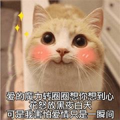 qq输入法皮肤下载