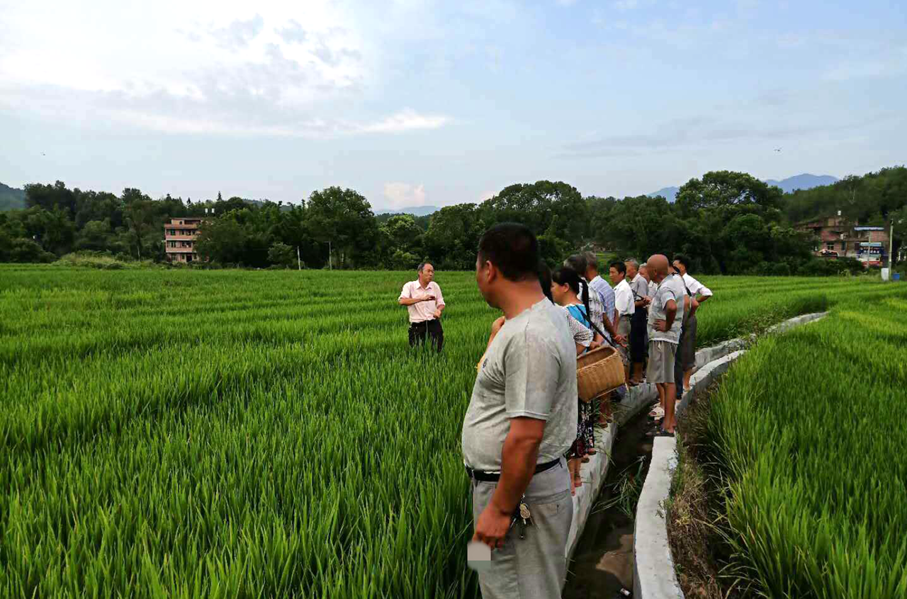 兴国县兴江乡:段水村来了个"爱做事不顾家"的第一书记