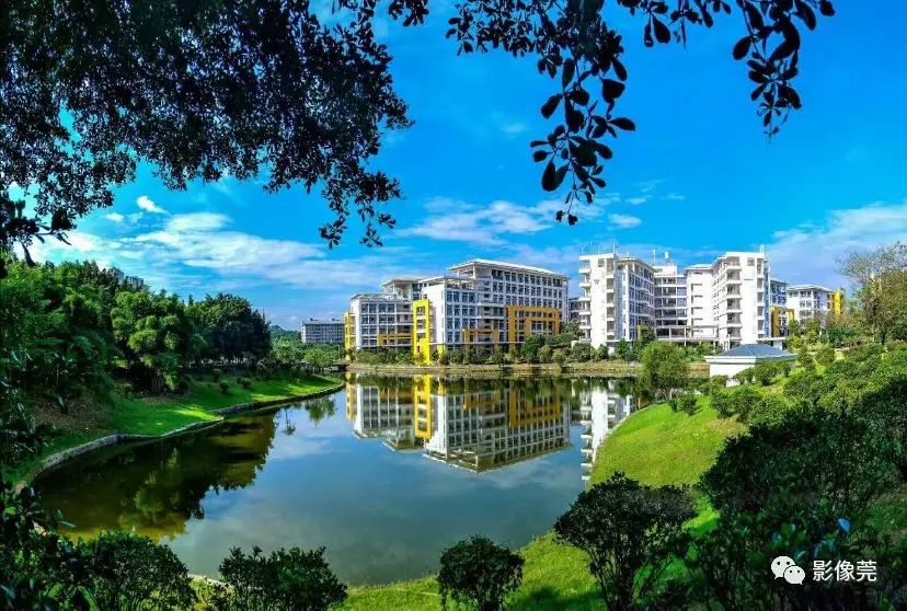 用手机都拍这么好东莞这所大学校园风光美美的