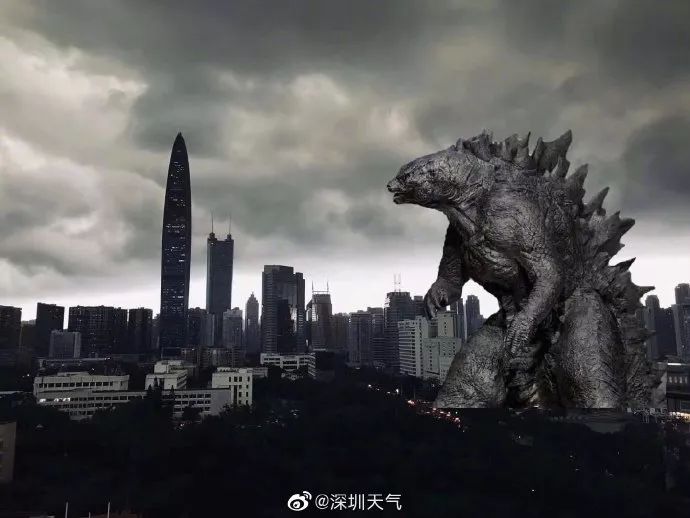 今早红暴失约龙吸水疯传朋友圈大暴雨今天到货深圳