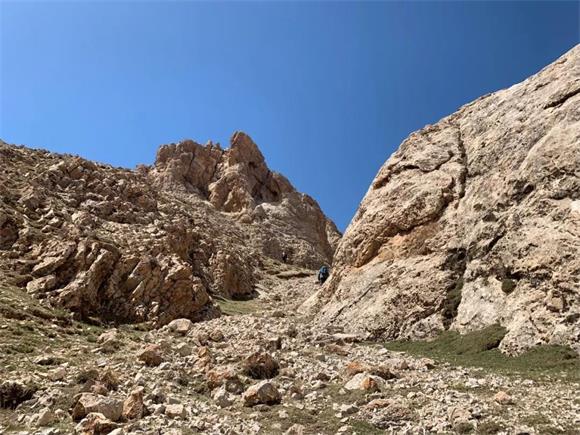 在一望无际的荒野之上探寻雪山之王的足迹