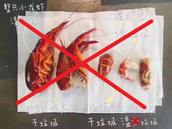 来源不明的“小龙虾身后事分类图”是错误的。 网络图