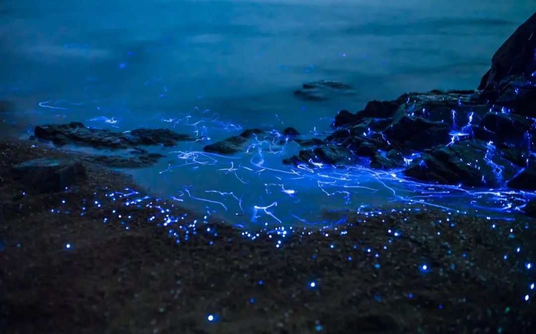 福建小岛藏着会发光的海浪丝绸之路的宝藏和张起灵的秘密