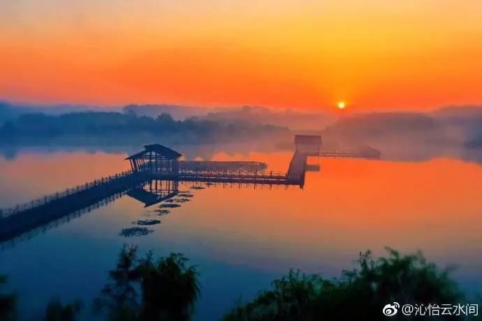 楚烈萧诗韵免费阅读