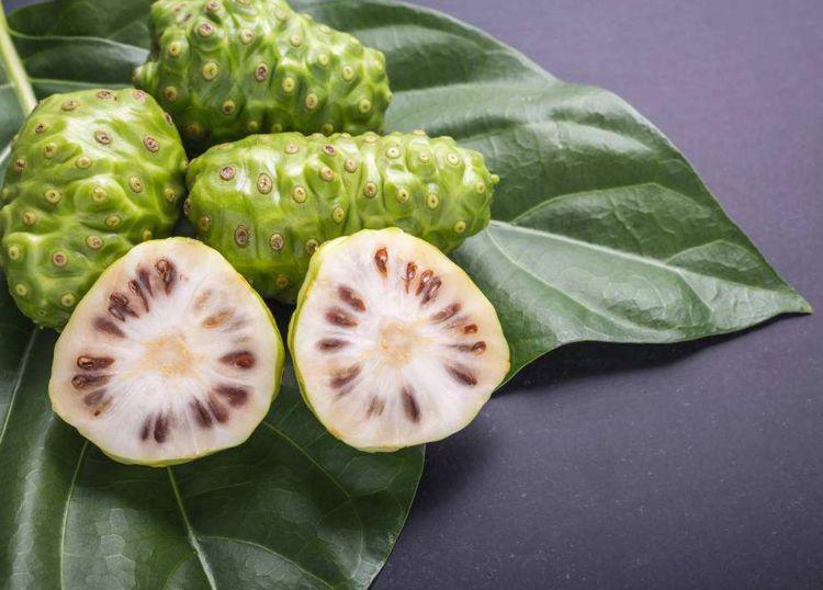 你吃过诺丽果吗?名字霸气,营养物多达227种,发酵后才能吃!__财经头条