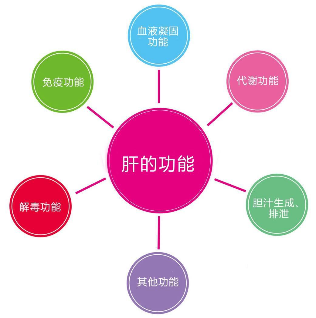 肝功能异常|肝脏|饮食_新浪新闻