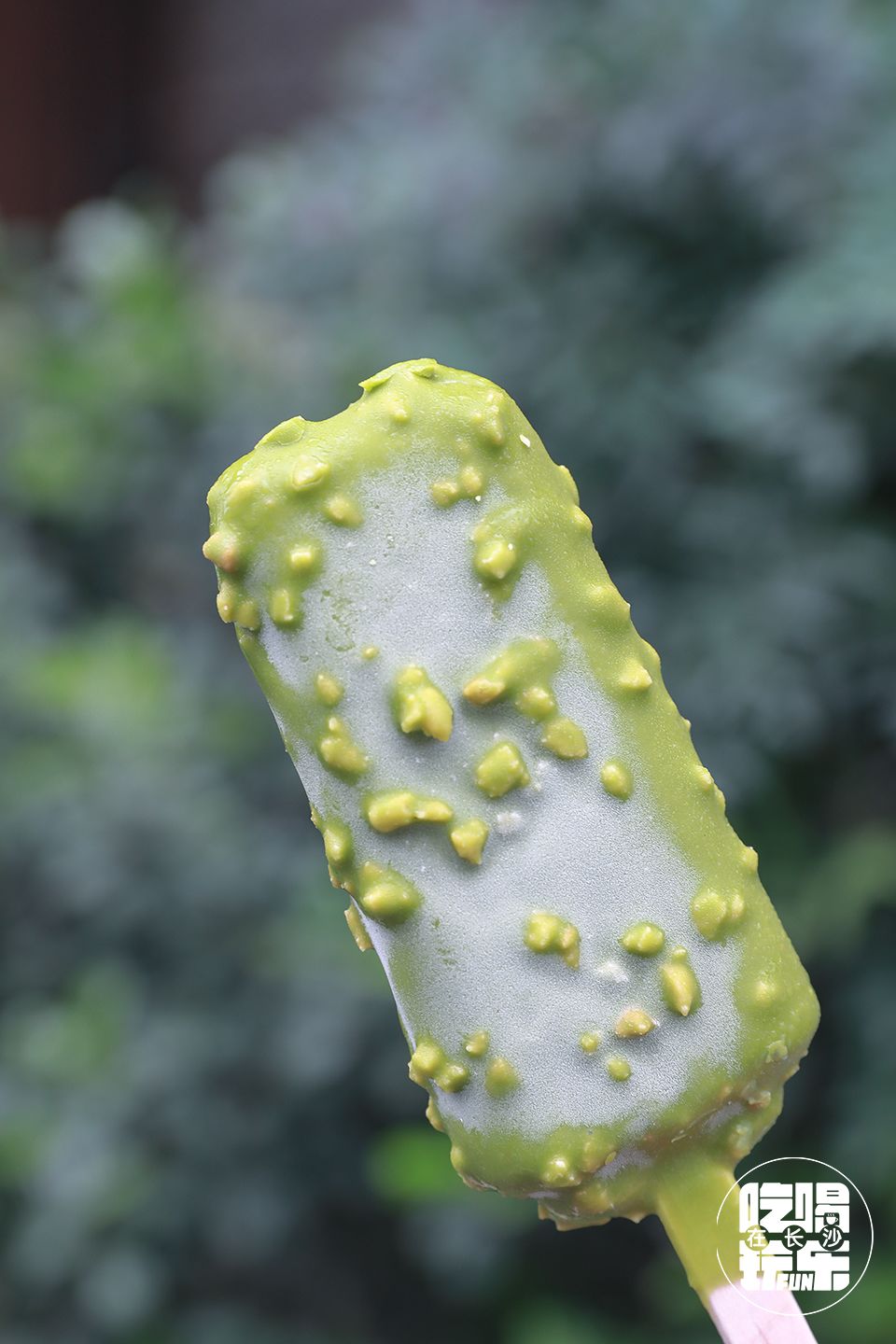 2019年刷爆抖音小红书的网红雪糕是真的好吃吗