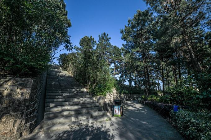 安徽首个国家级县域经济开发区,有这般疗养级生态公园