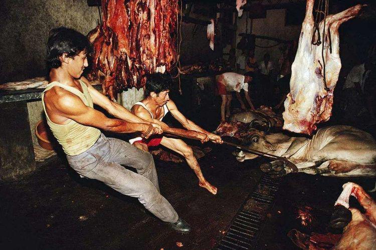 为何全民尊牛的印度不吃牛肉,却是世界上牛肉出口第一的国家?