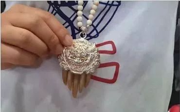 "孩子,保护不了你,妈只能杀了你":人越冷漠,世界越坏|穿山甲|人类