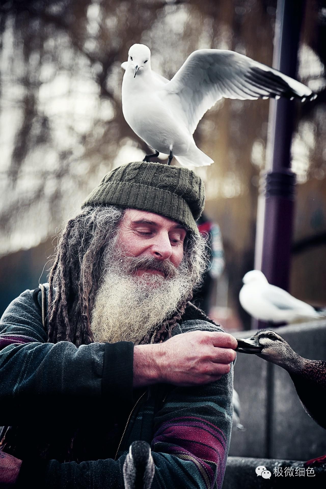 新西兰甘道夫 皇后镇惊现灰袍巫师