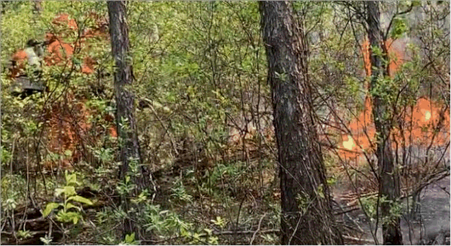 6月19日，内蒙古大兴安岭航空护林局特勤突击队在金河塔拉坎河火场灭火