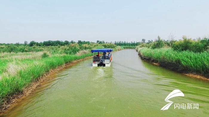 冠县马颊河湿地入夏美景如画
