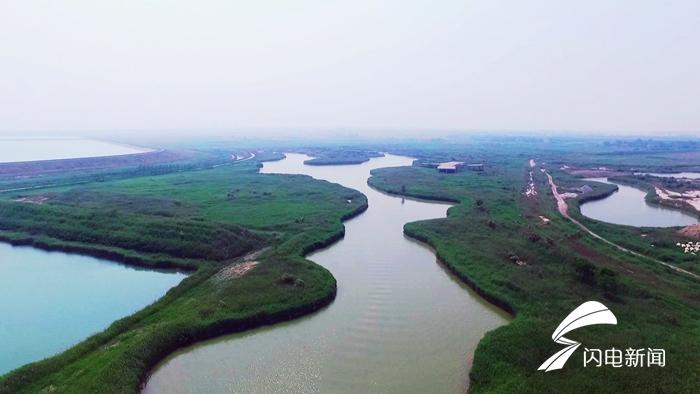 冠县马颊河湿地入夏美景如画