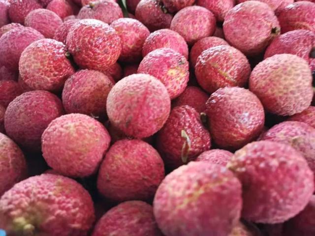 并蒂红无核荔枝陆侨农牧与蓝田农业瞄准华东市场联合推佳品