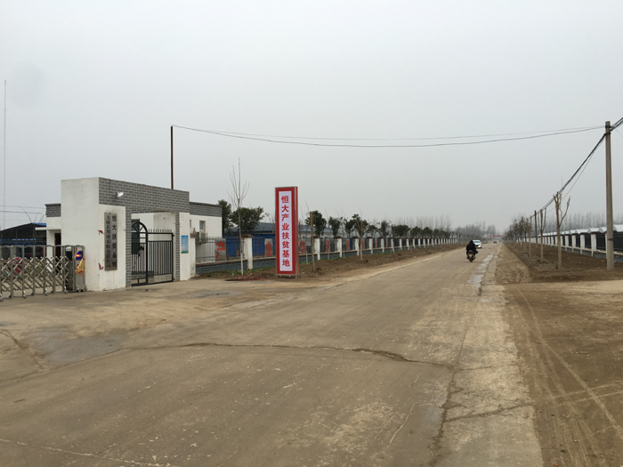 许家印省亲背后: 县政府抢修道路 冬夜路旁植绿化