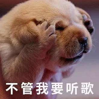 每次乘坐公交地铁通勤时噪音都很大,为了盖过噪音并听清耳机音乐,我们