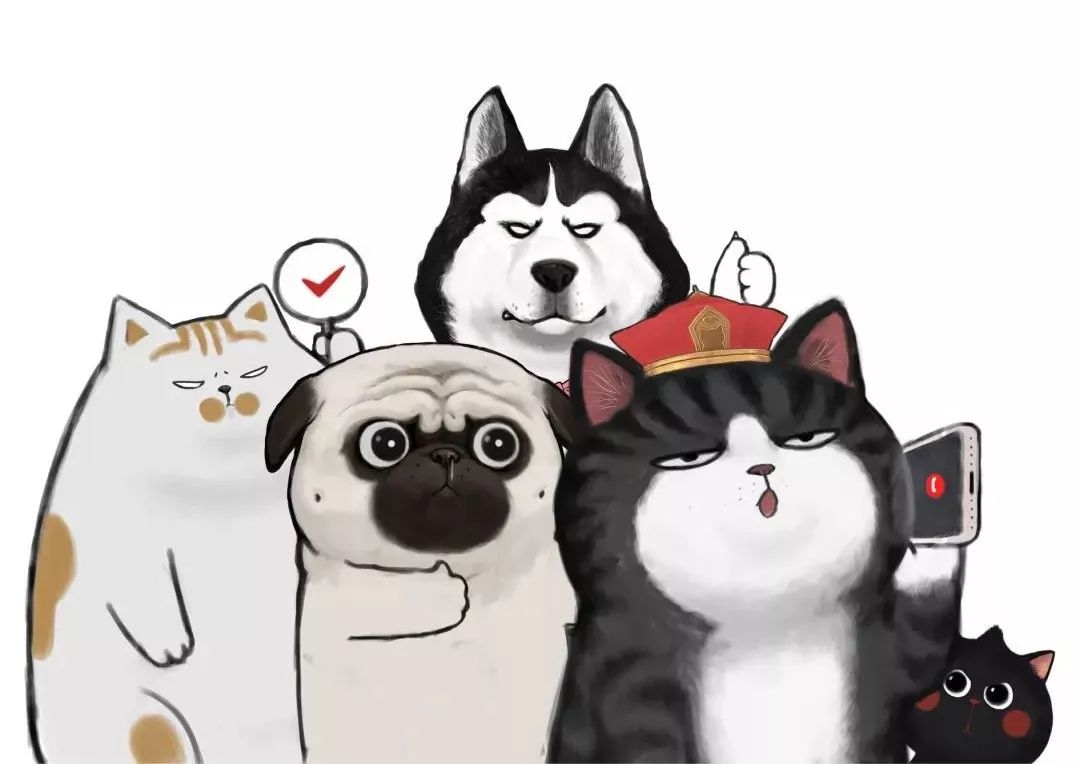 请注意这里是苏州站白茶吾皇万睡签售活动的攻略