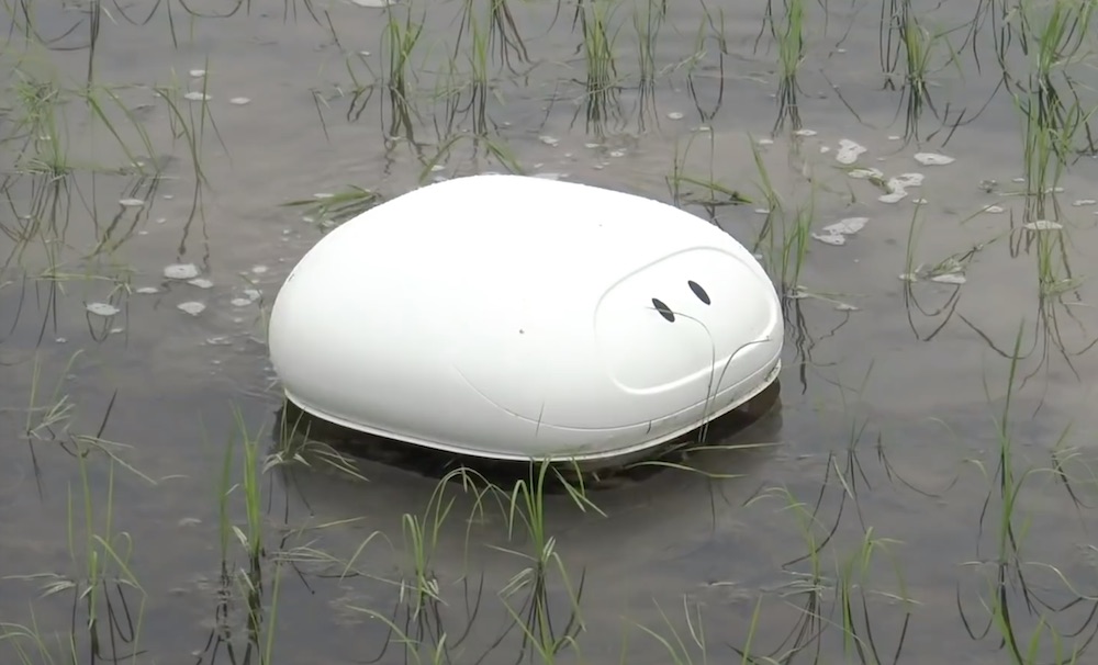 日产的这只机器鸭可以帮助清除稻田内的杂草
