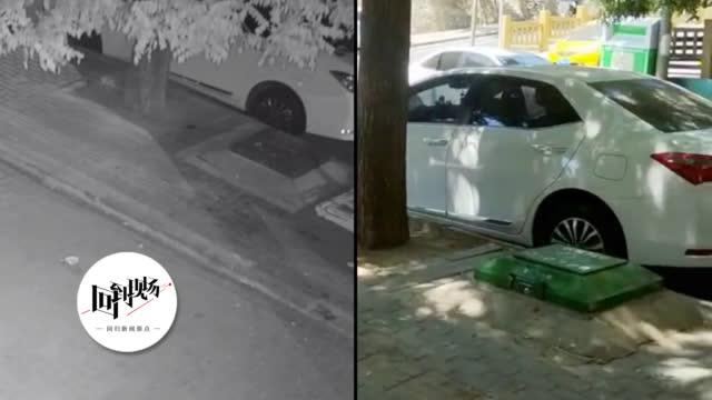 暴力视频:谁把男子当街殴打女子视频放网上?媒体:应规范