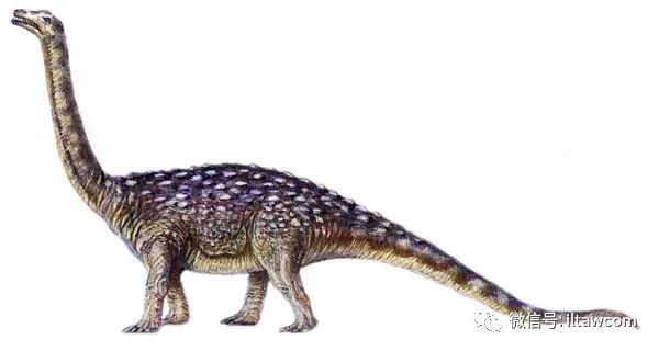 体型最巨大的陆地动物之一阿根廷龙