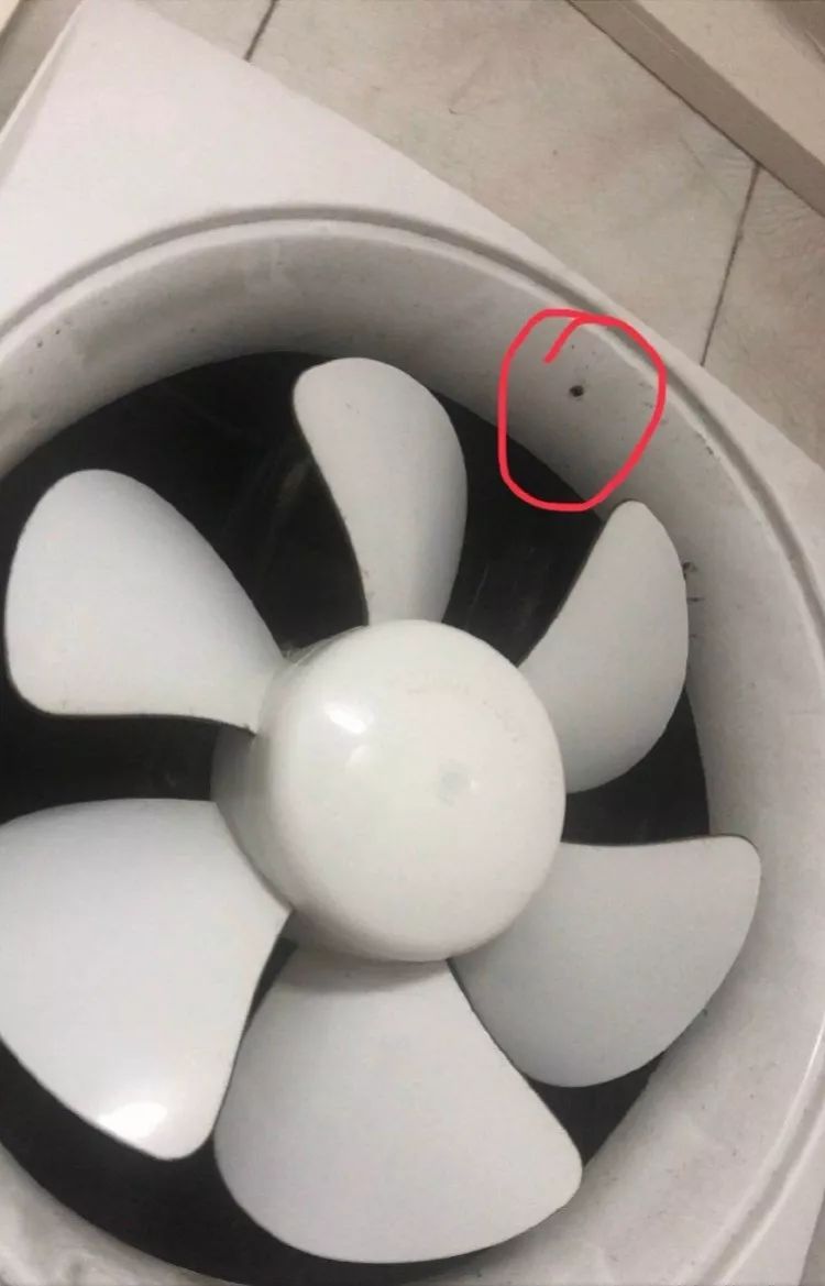 事实上,事主在入住前已经检查过房间,但摄像头就藏在一个4毫米直径的